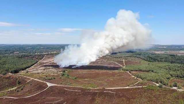 Fire at Hankley Common. Picture: Surrey Fire and Rescue