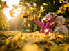 When does autumn 2022 start? First day of autumn season in UK, plus end date, and what is the autumn equinox