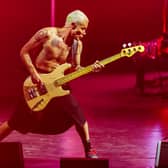 Flea from the Red Hot Chili Peppers performs on stage. Picture: Rich Polk/Getty Images for Yaamava’ Resort & Casino
