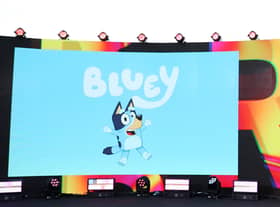 The Australian animated series Bluey is popular with both adults and children (Pic: Getty Images)