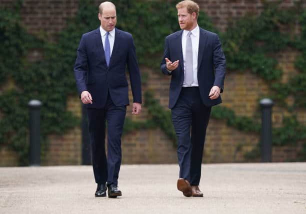 Princes Harry and William (Pic:Getty)