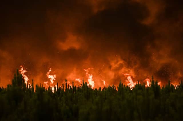 Flames burn trees during a forest fire near Belin-Beliet in Gironde, southwestern France, on August 10, 2022. (Photo by  PHILIPPE LOPEZ/AFP via Getty Images)