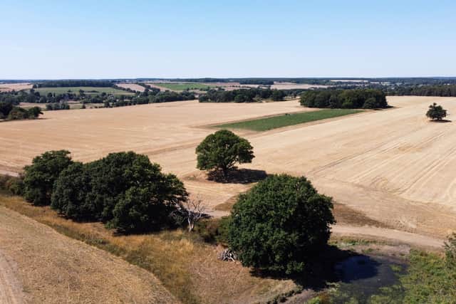 The south-west of England has been experiencing extremely dry weather, with a drought expected to be declared in the region. (Credit: Getty Images)