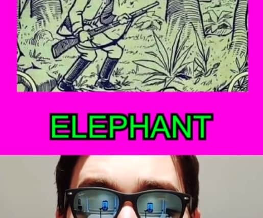 Hectic Nick claims only 1% of viewers can spot the elephant (Photo: TikTok/@Hecticnick)