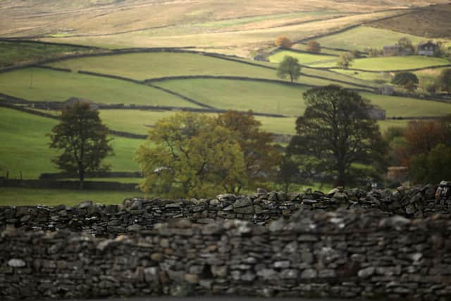 The walk will offer a view of the Yorkshire Dales (Getty Images)