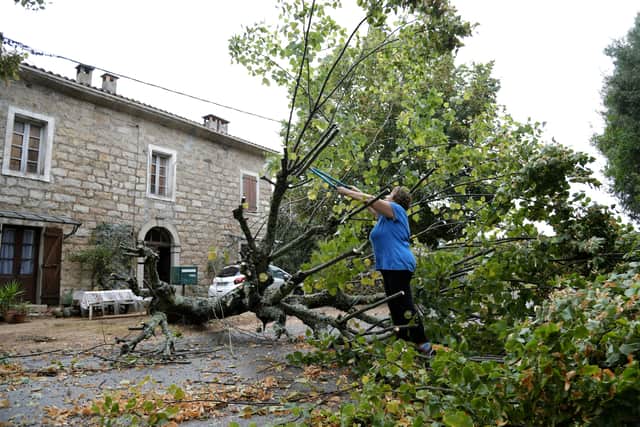 A woman starts to cut a tree who felt down in Marato, close to Cognocoli Monticchi after strong winds on the French Mediterranean island of Corsica on August 18, 2022. (Photo by PASCAL POCHARD-CASABIANCA/AFP via Getty Images)