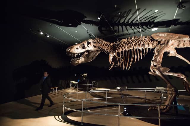 The dinosaurs were wiped out in a mass extinction event 66 million years ago. (Getty Images)