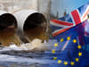 How has Brexit impacted sewage being discharged in the UK? Changes to regulations - what Stanley Johnson said