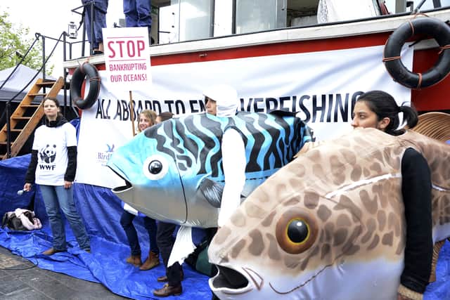 A few supporters of the conservationist body WWF, some of them disguised in fishes, stage a protest against overfishing holding placards reading "Stop Bankrupting our Oceans" in front of the European Union Council building in Brussels on May 13, 2013