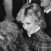 Princess Diana’s death has been surrounded by conspiracy theories (image: Getty Images)