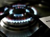 How does the British Gas support fund work? (image: PA)