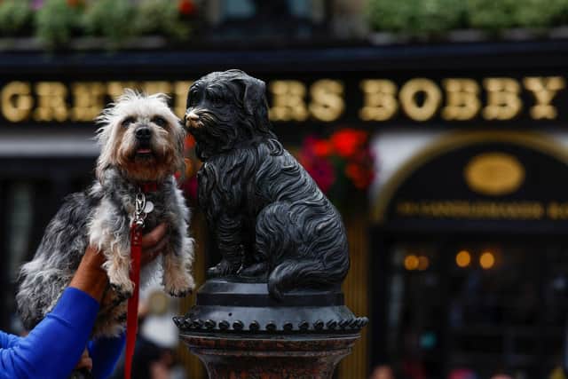 Members of the Dandie Dinmont Terrier Club gather at the statue of Greyfriars Bobby on July 24, 2022 in Edinburgh, Scotland (Photo by Jeff J Mitchell/Getty Images)
