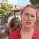 Madeline Ratcliffe at Notting Hill Carnival 2022 (Twitter/ Sky News)