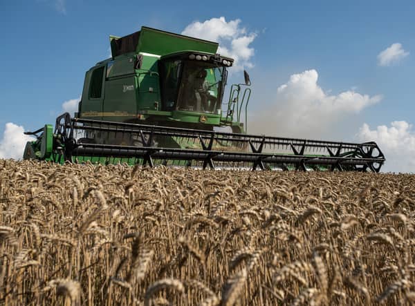Ukraine is one of the world’s largest grain exporters (Pic: Getty Images)
