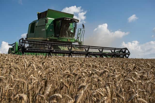 Ukraine is one of the world’s largest grain exporters (Pic: Getty Images)