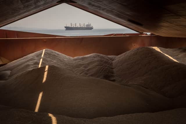 Grain seen on board the Osprey S vessel carrying 11,500 tons of grain to Turkey (Pic: Getty Images)