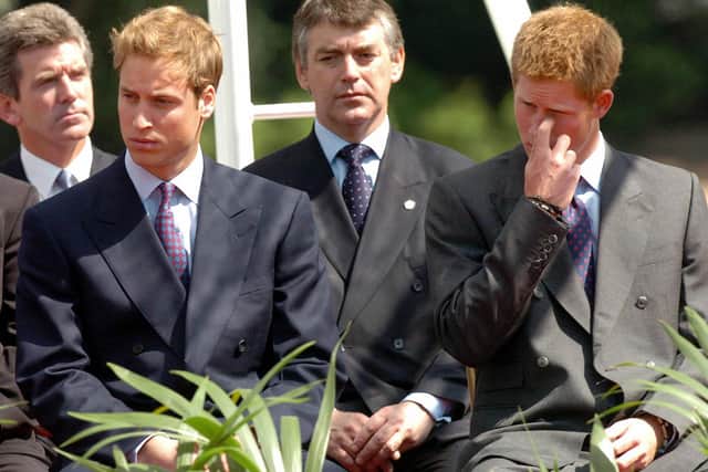 Princess Dian sons, Prince William (L) and Prince Harry attend the unveiling ceremony for the Princess Diana memorial fountain in London's Hyde Park 06 July 2004 . 