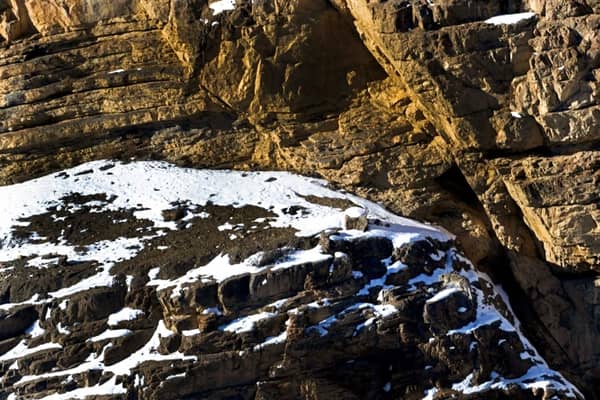Can you spot the snow leopard in this photo? Image by Hira Punjabi/Solent.