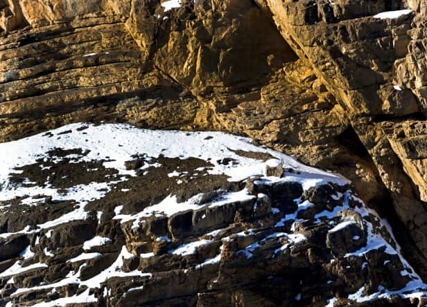 <p>Can you spot the snow leopard in this photo? Image by Hira Punjabi/Solent.</p>