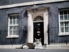 Who is Larry the Downing Street cat? How old is he and why is feline campaigning to be next UK prime minister