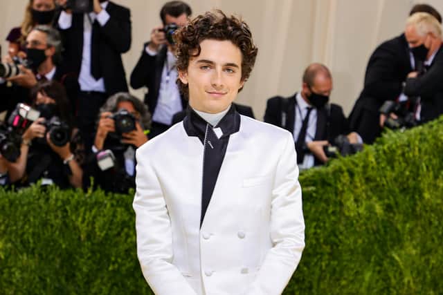 American actor Timothée Chalamet (Photo by Theo Wargo/Getty Images)