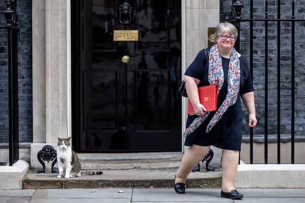 Therese Coffey (Getty Images)