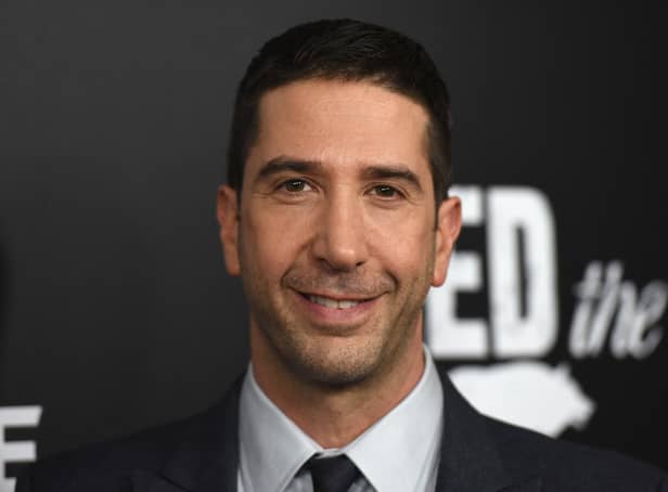 <p>Actor David Schwimmer decided to recreate Jennifer Aniston’s photo.  (Photo by Noam Galai/Getty Images for AMC)</p>