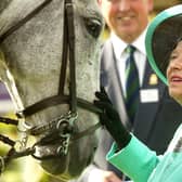 Queen Elizabeth II attends the third day of the Royal Windsor Horse Show at Home Park on May 15, 2004 in Windsor, England. (Photo by Carl De Souza/Getty Images)