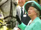 Queen Elizabeth II attends the third day of the Royal Windsor Horse Show at Home Park on May 15, 2004 in Windsor, England. (Photo by Carl De Souza/Getty Images)