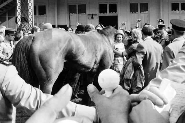 Queen Elizabeth II greets her British Thoroughbred racehorse, Highclere, in the paddock during the Prix de Diane, on June 16, 1974 at Chantilly, France.