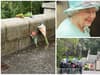 Queen Elizabeth II dies: how people reacted after the Queen’s death at Balmoral Castle