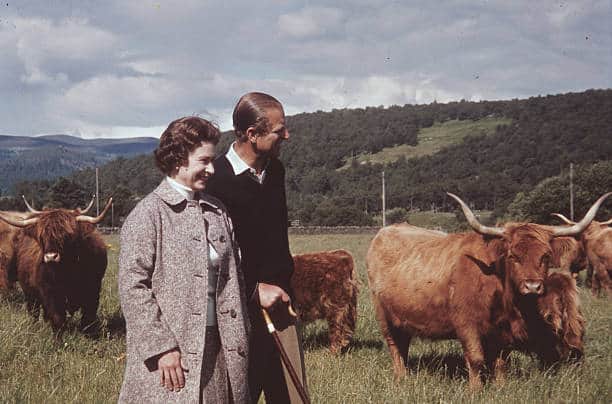 Queen Elizabeth II and Prince Philip in a field with some highland cattle at Balmoral, Scotland, 1972 (Pic:Getty)