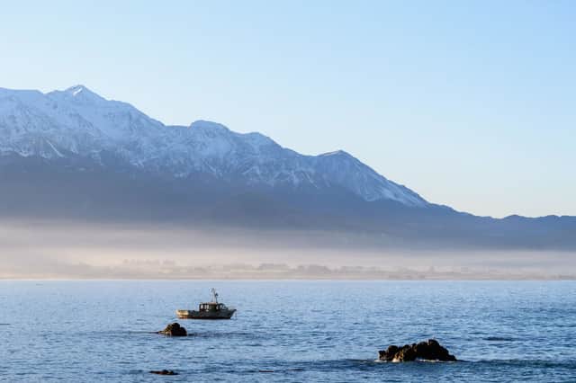 <p>Kaikoura is a popular whale-watching destination (Photo: Kai Schwoerer/Getty Images)</p>