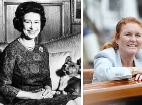 Sarah, Duchess of York and Prince Andrew will look after The Queen’s corgis (Pic: NationalWorld/Kim Mogg)