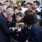  King Charles III  and Camilla, Queen Consort meet members of the public including a woman with her pet corgi outside Hillsborough Castle (Pic: Getty Images)