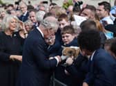  King Charles III  and Camilla, Queen Consort meet members of the public including a woman with her pet corgi outside Hillsborough Castle (Pic: Getty Images)