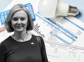 Liz Truss announced that the typical household energy bill will be capped at £2,500 per year from 1 October (Composite: Kim Mogg / NationalWorld)