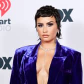 Fans are concerned for Demi after she announced she would not be doing another tour. 