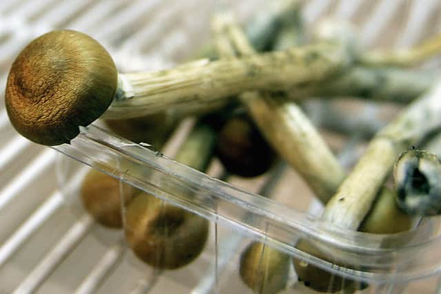 Psychedelic trials are underway to help treat conditions such as depression