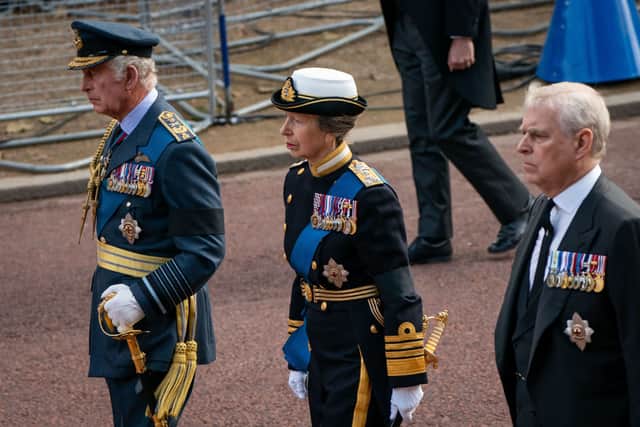 Princess Anne is not a Counsellor of State (image: Getty Images)