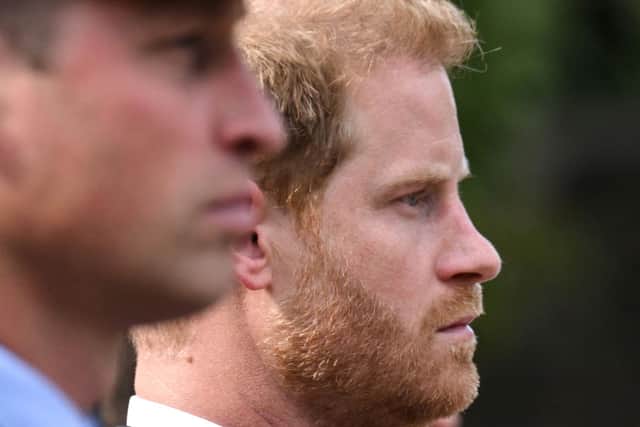 With Prince Harry spending most of his time in the USA, it means Prince Andrew is more likely to be called upon to serve as Counsellor of State (image: AFP/Getty Images)