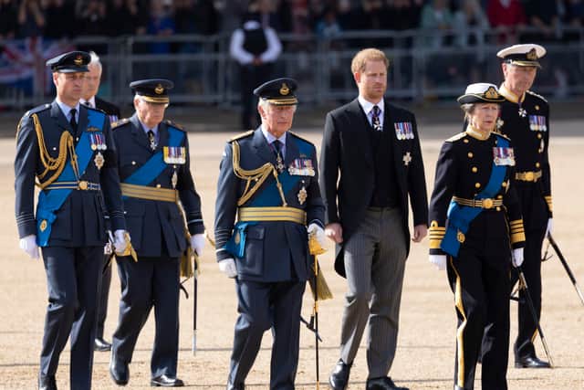 First row L-R) King Charles III, Princess Anne, Princess Royal, (Second row L-R) Prince William, Prince of Wales, Prince Harry, Duke of Sussex, (Third row L-R) Prince Richard, Duke of Gloucester and Vice Admiral Timothy Laurence