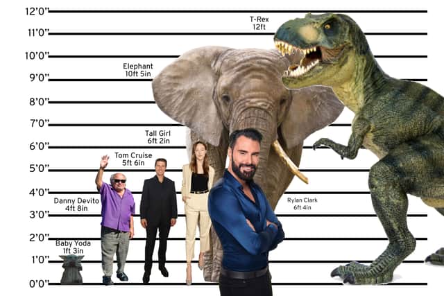 A graph contextualising Rylan’s height - slightly taller than Tall Girl, shorter than an elephant (Credit: NationalWorld Graphics Team)