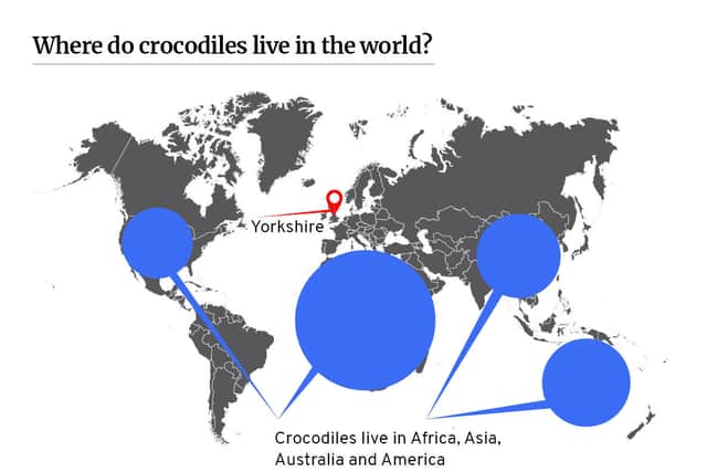 Map showing where crocodiles live - and where holidaymakers think they saw them in Yorkshire.