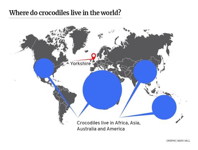 Map showing where crocodiles live - and where holidaymakers think they saw them in Yorkshire.