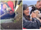 A dog has been rescued by volunteers after spending over 26 hours - down an old mining shaft.
