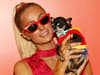 Paris Hilton turns to ‘reputable pet psychics’ amid search for her missing chihuahua Diamond Baby