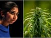 Cannabis classification UK: what did Suella Braverman say about ‘effectively legalised’ drug, is it a Class A?