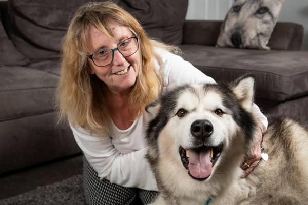 Blue Cross medal winner Alaskan Malamute dog Storm with his owner Karen Crosby.