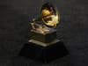 Are Grammys made of real gold - and can they be sold?